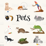 Pet Squad!!