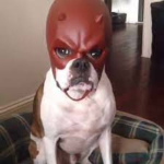 Dr_Robutniks Super Awesome Group