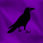 Black Crow Company