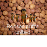 Reeses Puff United