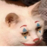 roblox sad sad story group