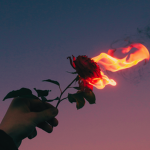 ʟᴇᴛ