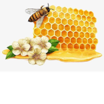 Pollination Power