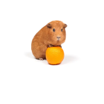 Fruit Snackers