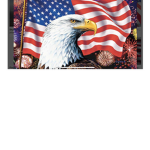United States of America republic