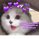 pink Kitten gang