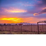 Country life group