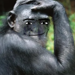 Roblox Monkey United