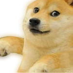 Legend The Doge