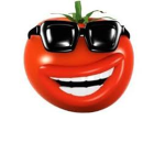 tomato corporation