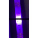 Roblox c.e.o