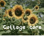 Cottage core fan club