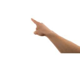 Obby For Flamingo