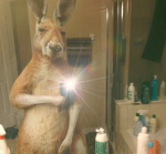Stychsbsgp