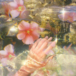 fleurs et papillons