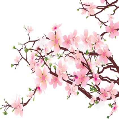 Transparent Cherry Blossom Roblox decal