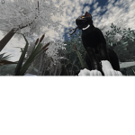 VAL'S ROBUX