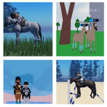 *+ Wild Valley Equestrian +*