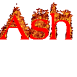 #AshtonSquad