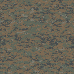 5th Marine Regimentﾠ