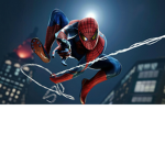 spiderwebs2