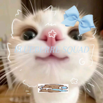 bLuEbErRiE sQaEd