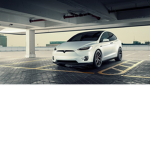 Tesla boy