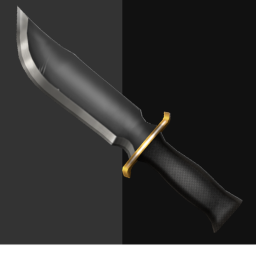Rayn's MM2