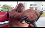 W Monkey