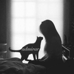 admirar