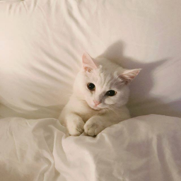 ^^