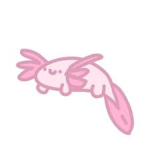 We Are Axolotls United forever