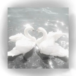 ｡ﾟ𝜗‿︵୨୧︵‿𝜚 ｡ﾟ icon