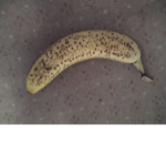 TEAM BANNANA FOR THE WIN