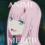 Anime Merch.