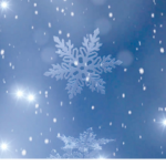 *~Snowflake Squad~*