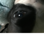 Myusernamsethis666