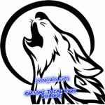 Snow_Wolf17's Awesome Theme park Builders!
