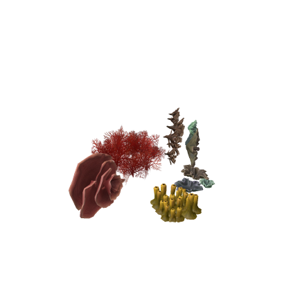 Coral