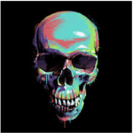 Skull of Shadows Group
