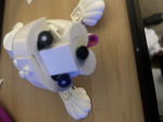 Animal gourp