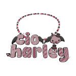 cio & harley 3.0
