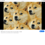 Doge ski ska