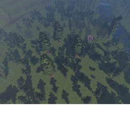 Lonely Forest