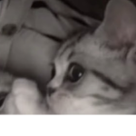 I see you muahahahaha