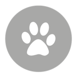 T. F. P. S. Studios (The Fluffy Paw Studios)