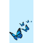 blue ~ butterflies