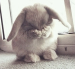 they.hate._.Iluna
