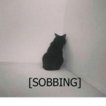 twsarefsfssdv