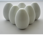 The Egg Force